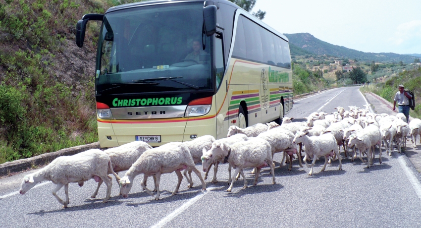 Bild 039 - Wanderreise Sardinien Bus/Flug